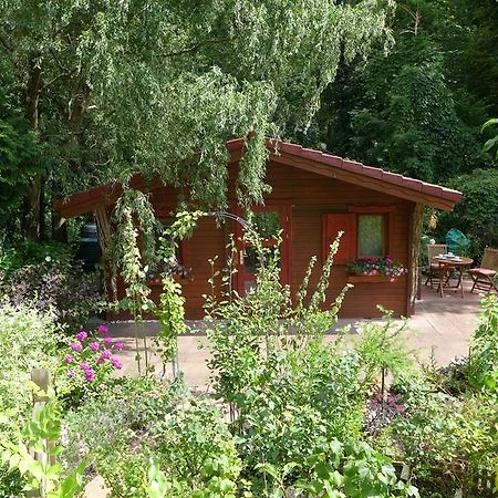 Ferienhaus Natura Neuruppin Room photo